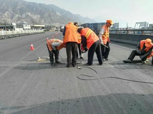 环翠道路桥梁病害治理